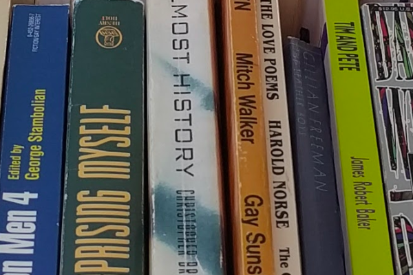 Books by Gay Authors