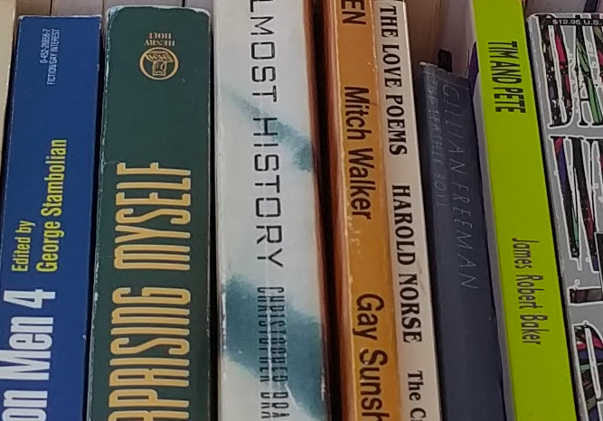 Books by Gay Authors